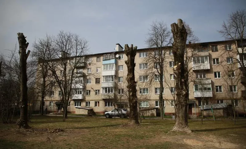 Обрезка деревьев в Гродно