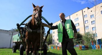 В гродненском ЖЭС-6 сотруднику платят зарплату овсом, сеном и конфетами
