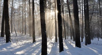 Гродненца, который ушел ночью из дома чтобы совершить самоубийство, нашли мертвым в Пышках