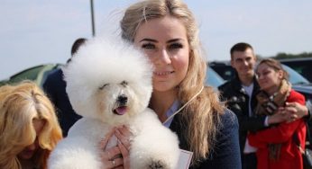 Более 300 собак приняло участие в крупной выставке в Гродно