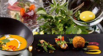 Все сеты Gastrofest в Гродно: от мороженого с беконом до голубых мидий