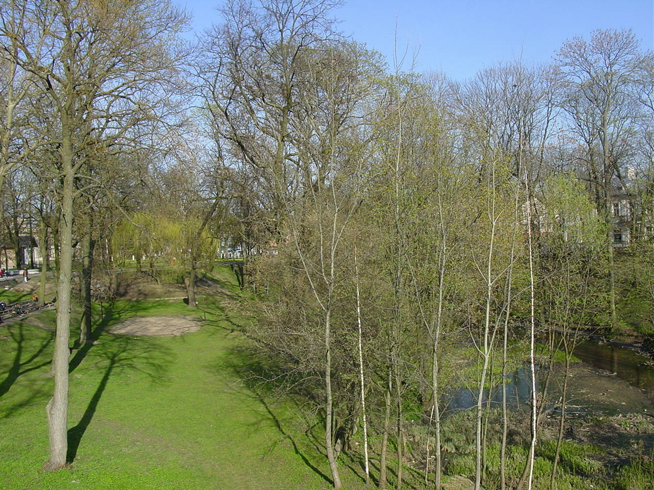 Деревья в долине Городничанки засохли в результате реконструкции парка. Фото 2007 г.