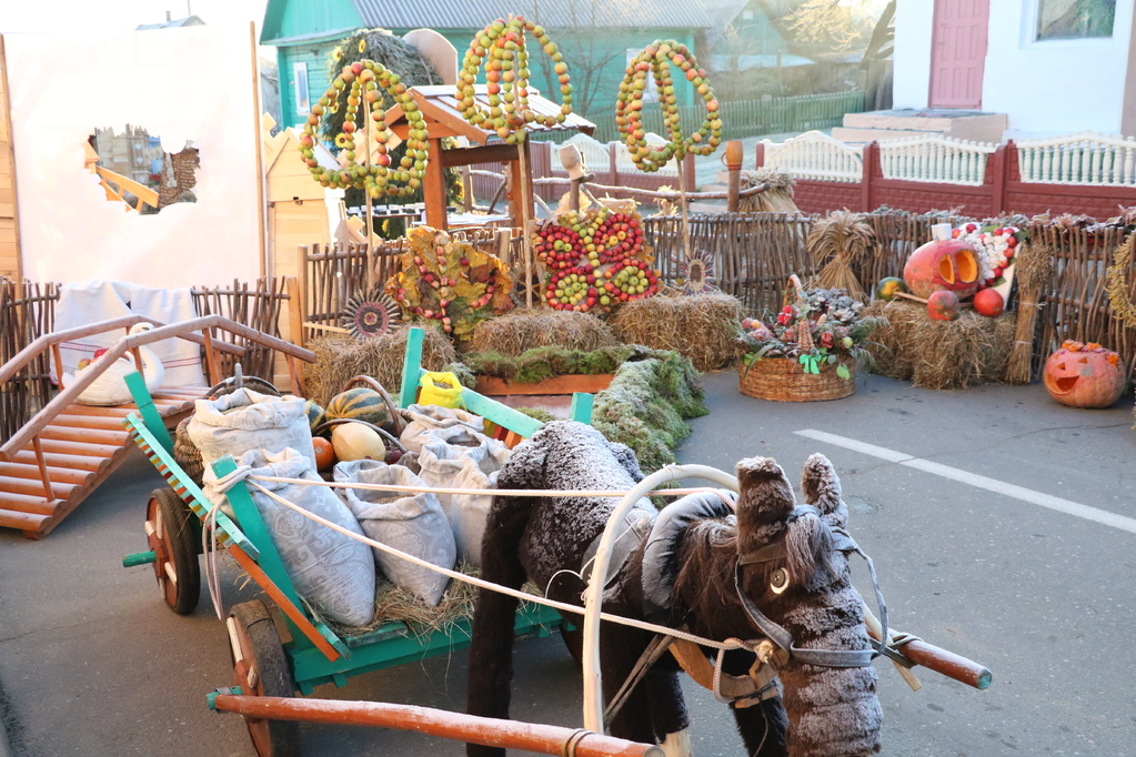 "Дожинки" в Ивье: фуд-арт и агро-треш. Смотрим, чего было больше