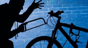 Нашли парней, которые крали велики в Гродно