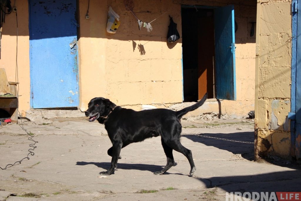 «Успеть до понедельника». Как жители бывшей деревни Девятовка готовятся к сносу «Успеть до понедельника». Как жители бывшей деревни Девятовка готовятся к сносу