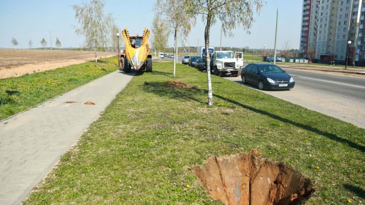 Как в Гродно используют «Большой Джон» - машину для пересадки больших  деревьев