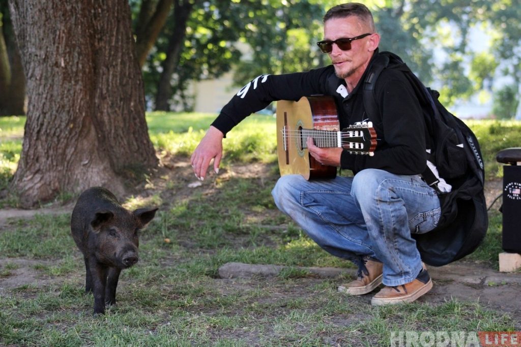 «Очень трудно было расставаться». Поросенок Фунтик и уличный музыкант закончили выступать в Гродно