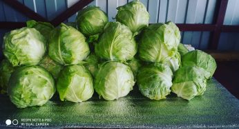 Instagram СССР-style: что постят в своих аккаунтах госорганизации