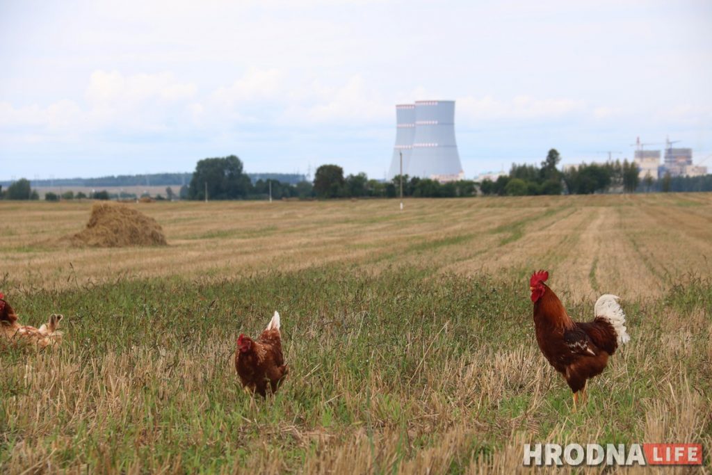 “Мои атомы довольны”. Школу, садик, больницу и ядерное топливо ждут в Островце этой осенью