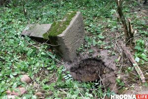 Подороск (1)