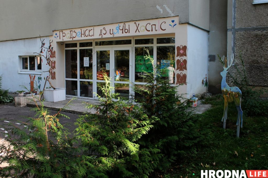 Олень святого Губерта, рысь и зубр. Смотрите, как преобразился дворик Гродненского детского хосписа