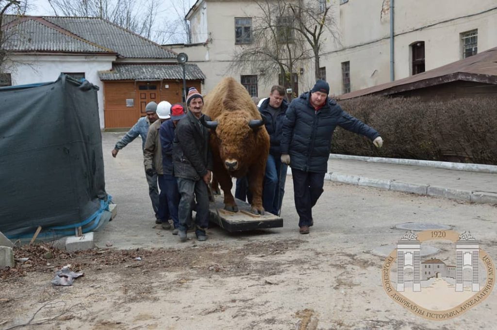 Легендарный зубр из Старого замка переехал на новое место