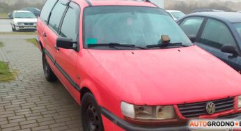 В Гродно любителей парковаться на тротуарах «воспитывают» кирпичом