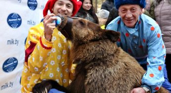 С блинами и медведицей: в Гродно провели зиму массовыми гуляниями в Пышках