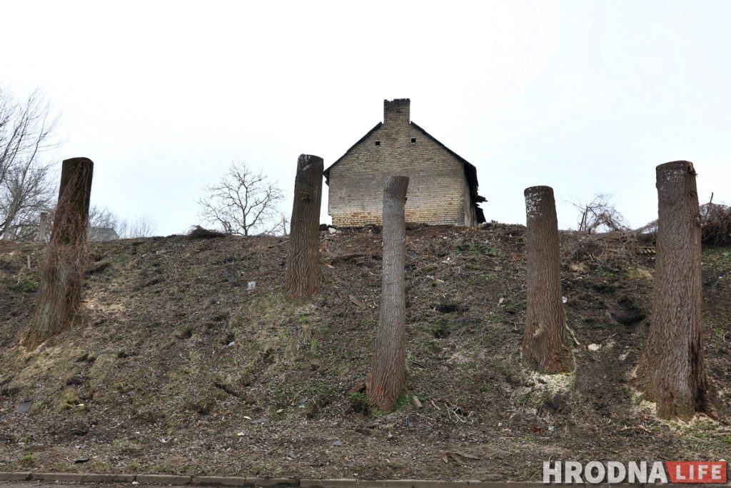 Участок с видом на замки: зачем на Левонабережной спилили старые тополя? Участок с видом на замки: зачем на Левонабережной спилили старые тополя?