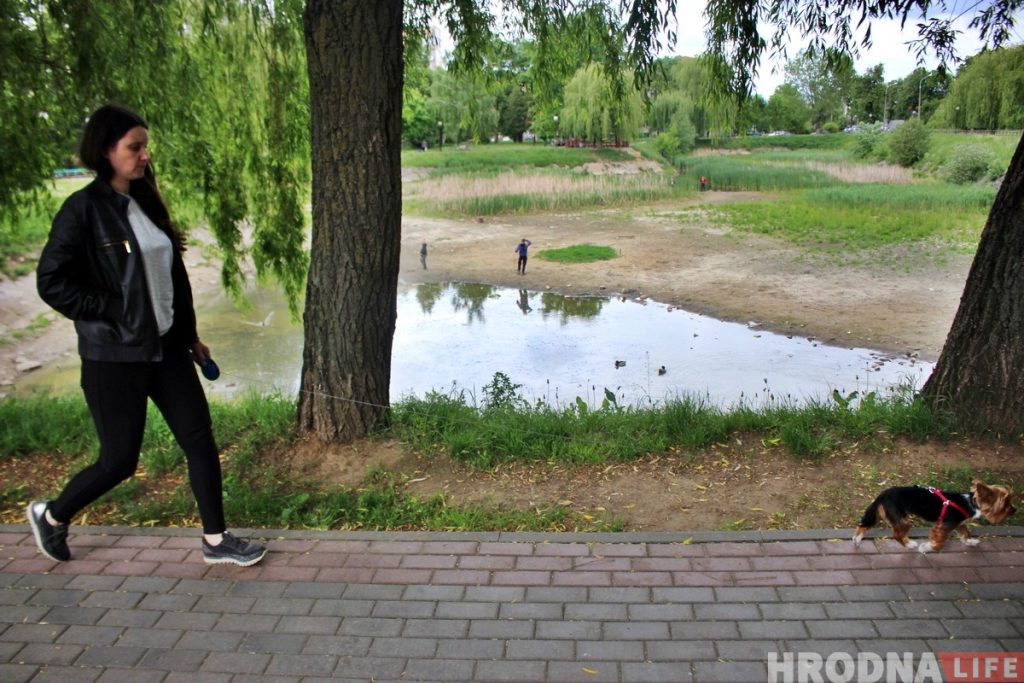 Пишут, что пруд на Репина засыпают. Комментирует депутат Пишут, что пруд на Репина засыпают. Комментирует депутат