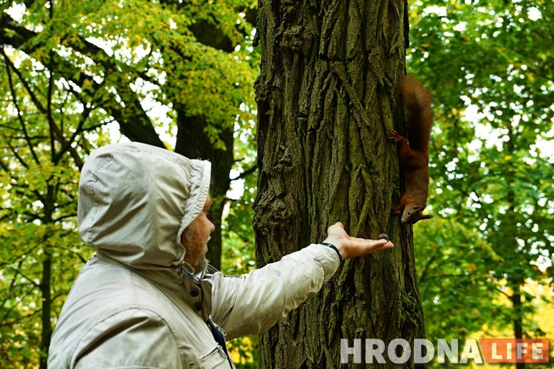 Зачем белкам забор, а колясочникам - пандусы. Коммунальники то слышат Юлию Коледу, то не слышат, а она все равно пишет