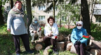 «Это наш район и наши деревья». Жители Горького недовольны вырубкой во дворе