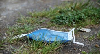 За сутки 518 белорусов заразились COVID-19. Лукашенко: экономика восстанавливается после коронавируса