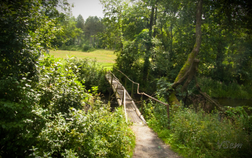 В Гродно обсудят жилую застройку в районе Лососянки В Гродно обсудят жилую застройку в районе Лососянки