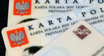 Стало известно, сколько человек в Гродненской области сообщили силовикам о иностранном гражданстве, ВНЖ или карте поляка