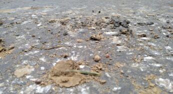 Военная техника повредила дорогу в Лососно-4. Жители обратились к властям и военным, но ответ пока не получили