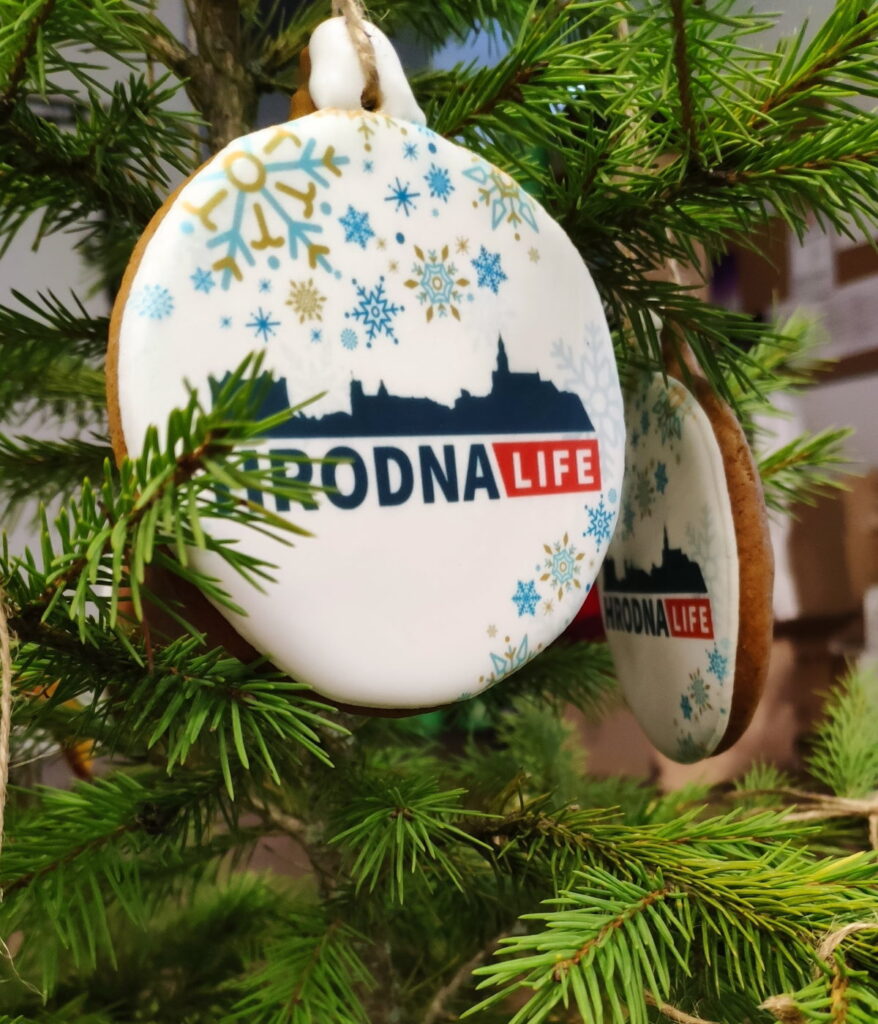 Тест: Как мы провели 2020 год в Гродно?