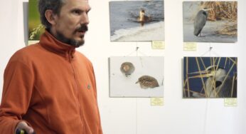 Бердвочер Дмитрий Винчевский: «О птицах есть много мифов с советских времен»