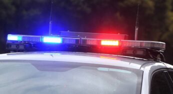 Задержания журналистов продолжаются