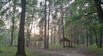 Не хватает районных скверов. Для Гродно готовят схему зеленых зон, которые будут охранять