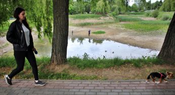 У пруда на Репина появится детская инклюзивная площадка — уже запланировали строительство