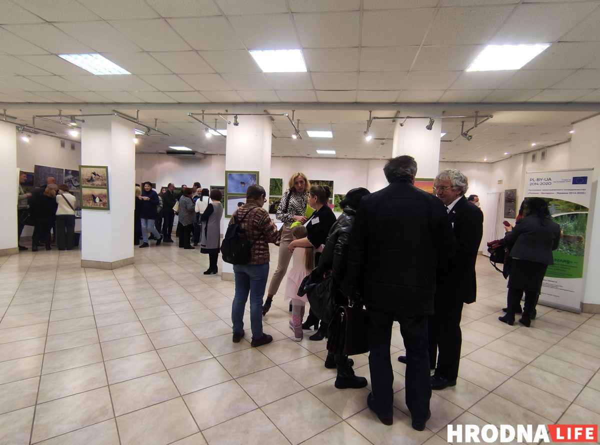 В Гродно открыли польско-белорусскую выставку о пущах. С ее помощью планируют развивать туризм