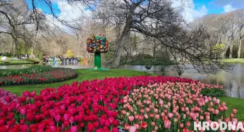 Путешествия на весну: 5 мест, которые стоит посетить прямо сейчас — с визой или без