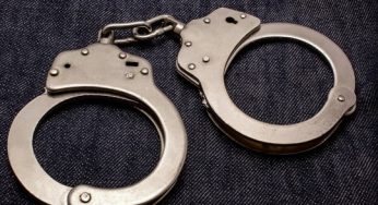 В Гродно по уголовному делу задержали общественную активистку