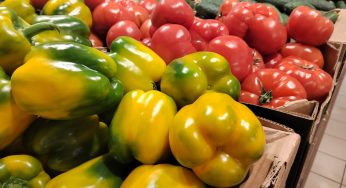 Двух лидчанок судили за заграничную помощь. Эту статью использовали впервые