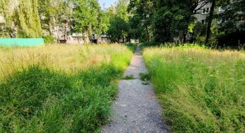 Где в Гродно будут косить траву в ближайшие дни?