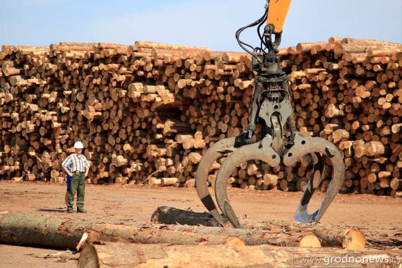 “Это непросто”. Как “Мостовдрев” работает под санкциями Рабочий процесс на "Мостовдрев". Фото: "Гродненская правда"