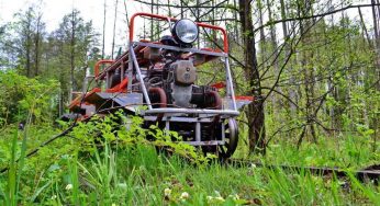 На дрезине с видом на мачтовые сосны: как попасть на экскурсию по узкоколейке в заказнике «Озеры»