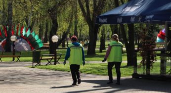 В Коложском парке посадили кусты, а на Курчатова аллею. Сколько деревьев, кустарников и цветов посадили в Гродно за 2023 год