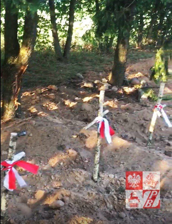Берёзовые кресты которые установили в Суркантах Источник: Союз поляков Беларуси