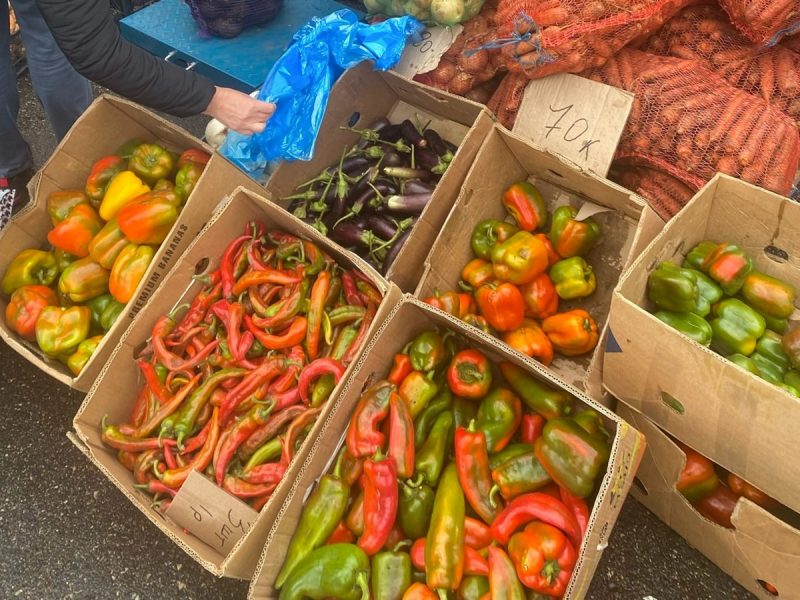 Медовые соты, саженцы персика и картошка с капустой. Что продают на осенней ярмарке в Гродно осенняя ярмарка в Гродно, 2022