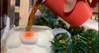 Ёлка в доме и праздничный маникюр. Как гродненцы готовятся к Новому году