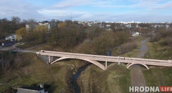 Из-за температурного рекорда в Гродно распустились почки