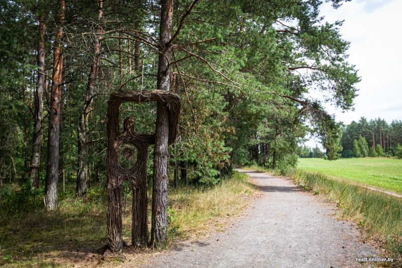 налибокская пуща лес лето сосны