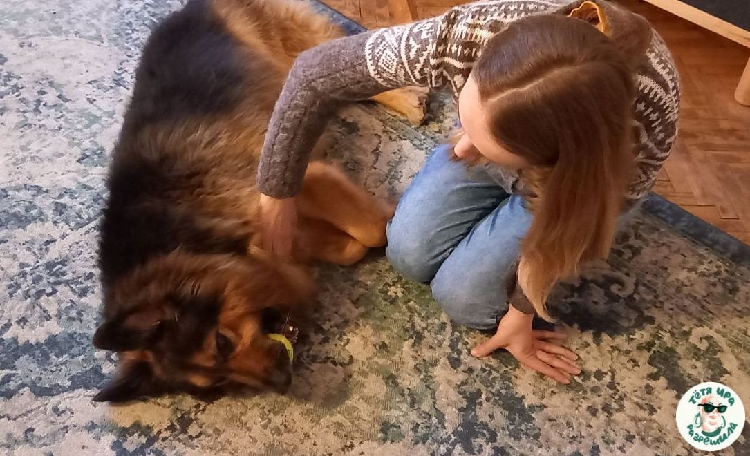 Собака Насты Лойко в Чехии: его забрали друзья заключенной