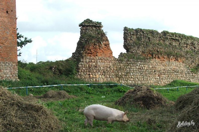 Через суд ликвидируют фонд “Кревский замок”. Он 18 лет изучал и помогал сохранять наследие Крево (обновлено) Кревский замок.
