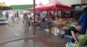 Черники мало, лисички из Поречья. Что по чем продают на рынках Гродно?