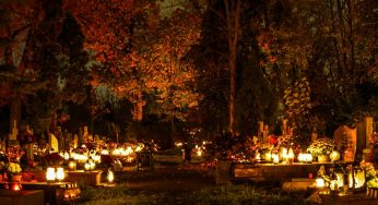 Накануне Дедов ЖКХ жеребьевкой определял места для торговли цветами — желающих оказалось слишком много