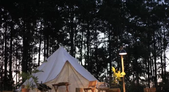 Сафари, узкоколейка и Жировичи: что ищут туристы в Гродненской области