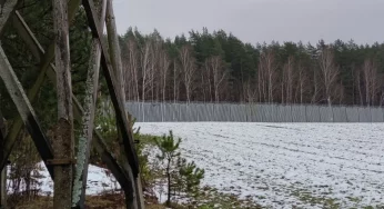 В Гродно задержали группу мигрантов. Эксперт: «Мавр свое дело сделал, но уходить ему некуда»